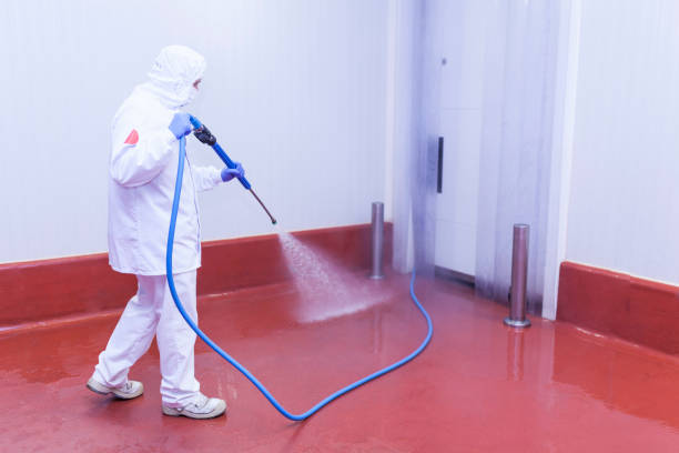 Best Winterizing Services  in Green Island, NY